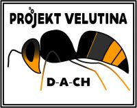 Projekt Velutina
